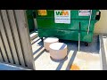 Dumpster Diving- They're Awesome!