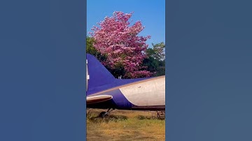 # Excel Engineering College#  Chennai Tamilnadu