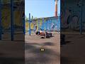 100 отжиманий за первую сотню подписчиков 💪😤 я крут #sport #motivations #live #challange #pushups