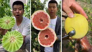 Farm Fresh Ninja Fruit Cutting | Oddly Satisfying Fruit Ninja #23