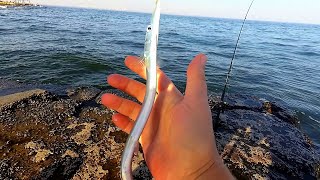 Odesa, Ukraine | Fishing for garfish in the Black Sea | Fall 2023 | #MobyLife