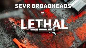 SEVR Broadheads are LETHAL