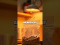 Whirling Air Currents at Home Convection in a Bottle