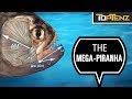 10 Prehistoric Fish That Make Sharks Look Innocent