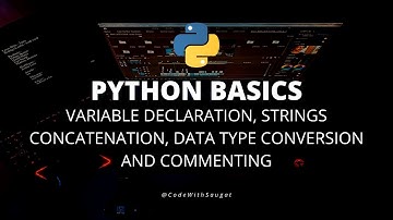 Python Basics - Variable declaration, Strings Concatenation, Data type conversion and Commenting #2