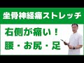 坐骨神経痛で右の腰・お尻・足が痛む時の原因とストレッチ方法