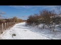 Duinen kijkduinmonster in de sneeuw 2021