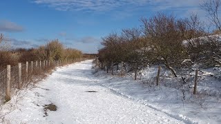 Duinen Kijkduinmonster In De Sneeuw 2021