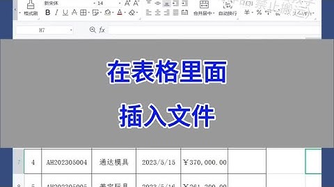 WPS Excel：在表格里面插入文件。 #wps #excel #办公技巧