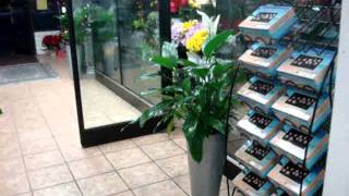 MartinezParkFlorist.-4020 Alhambra Ave