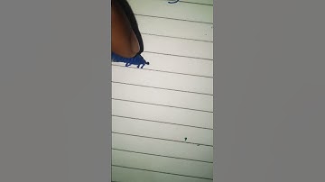 Ansh name #cursive #cursivecalligraphy #like #art