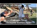 2 VLOG ИЗ ГРЕЦИИ#ОТМЕЧАЕМ ПАСХУ/  ЗООПАРК В АФИНАХ. Запорожская Анна