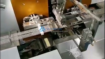 Fully Automatic Wire Stripping and Tinning Machine, Auto Cable Cutting Stripping and Tinning Machine