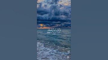 سورة الحج❤️🎧#القرآن_الكريم #القرآن #قرآن #تلاوة_خاشعة #quran # like #subscribe #mydesign #اكسبلور
