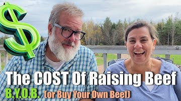The COST of Raising Your Own BEEF  | 2021 Big Family Homestead