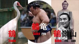 Sumo wrestler names: what do they mean?