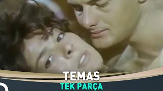 Temas | Harika Avcı