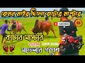 Cutter master vs maflar gonesh  win cutter master edbullfighting silabisaluofficiel3524