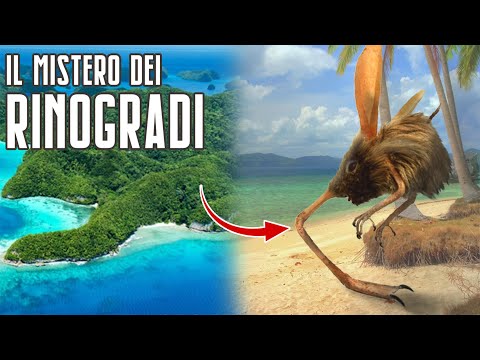 Video: Quanto valgono le campane che attraversano gli animali?