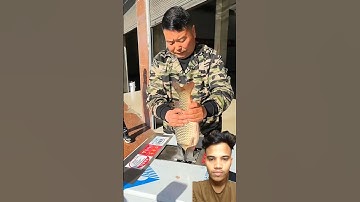 Fast & Precise Fish Cutting Machine Unveiled #shorts #satisfying