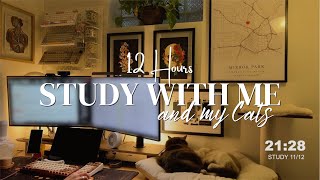 12 HOURS | STUDY/WORK WITH ME & MY CATS | Calm Piano | 50/10 Pomodoro