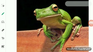 ClassVI Science 01 06 2020 by Ms Mridulata Upadhyay