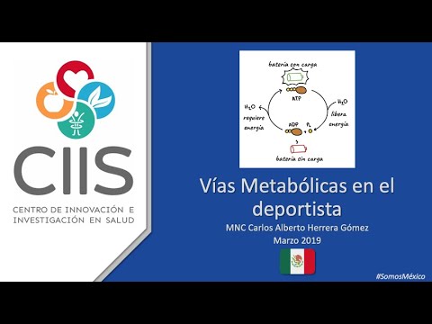 Vídeo: Cetosis Nutricional Aguda: Implicaciones Para El Rendimiento Del Ejercicio Y El Metabolismo