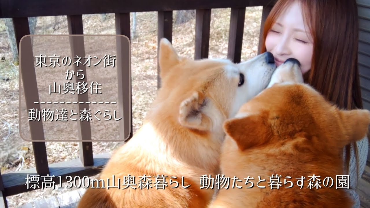 標高1300m山奥森暮らし 動物たちと暮らす森の園