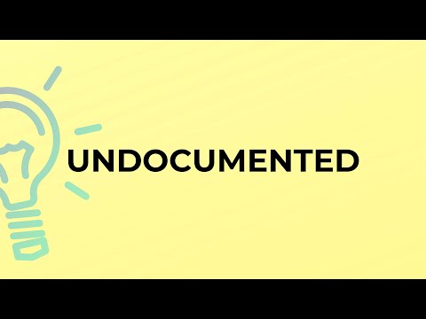 What is the meaning of the word UNDOCUMENTED?