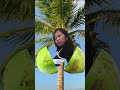 Young coconut magic #shortvideo #fruit #asmr #smr#short