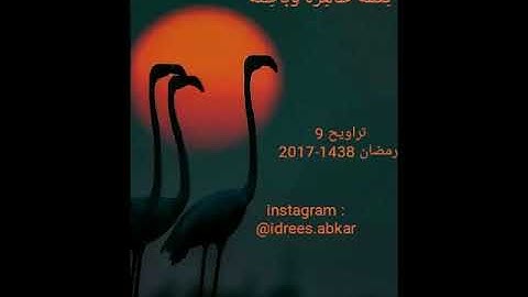 ألم تروا أن الله سخر لكم ما في السماوات وما في الأرض#تلاوة للقاريء الشيخ#إدريس_أبكر من#سورة_لقمان