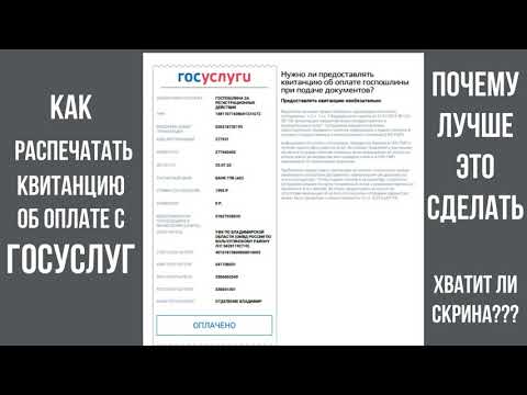 Как распечатать квитанцию об оплате госпошлины с Госусулуг, как найти и предоставлять ли её в ГИБДД