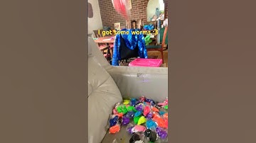 Worms on a string!#wormonastring #worm #worms #furry