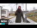 "Утро": высокая влажность ожидается в столице 3 марта - Москва 24