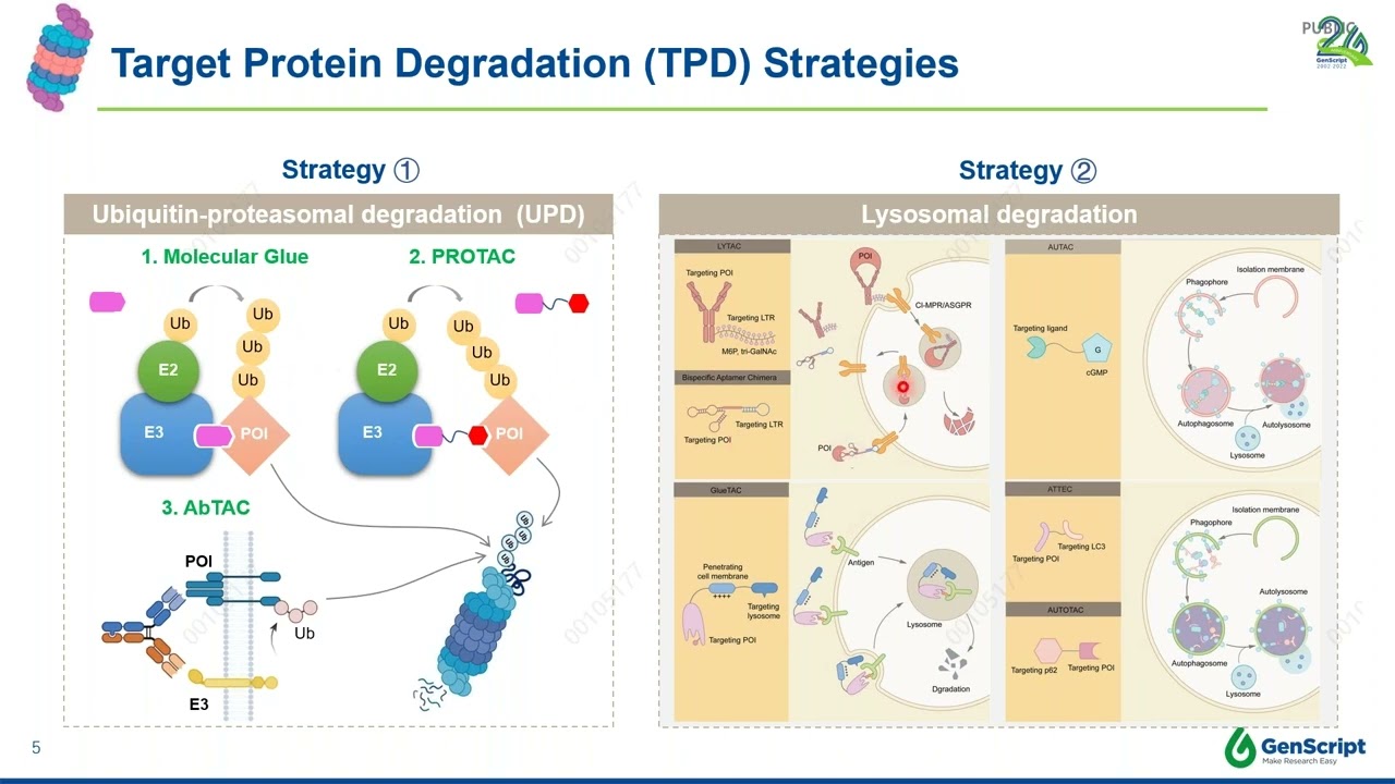 Enhancing Treatments using Targeted Protein Degradation