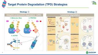 Enhancing Treatments using Targeted Protein Degradation