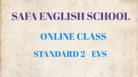 Class 2 - EVS / chapter 9 - Safety and First Aid ( Exercises - part 1 )