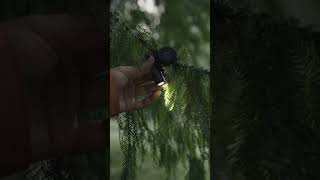 Pocket Ranger Firefly EDC Portable Light #edc #portablelight #light #camping