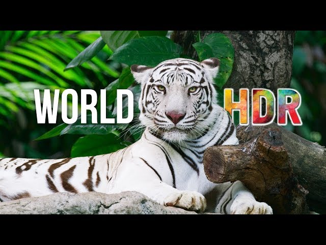 The World in HDR in 4K (ULTRA HD) class=