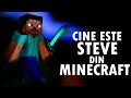 Cine este STEVE din MINECRAFT?