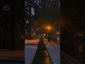 cold walk #ambientmusic #snow #darkambientmusic #liminalspace
