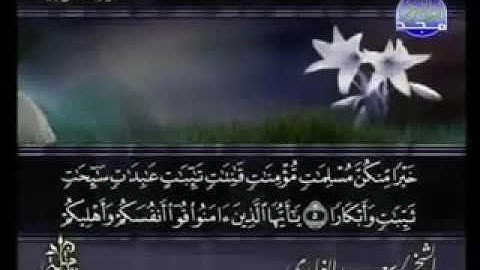 سورة التحريم الشيخ سعد الغامدي swrah at tahrim .saad alghamdi