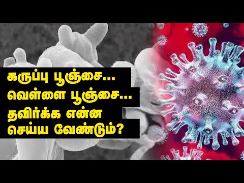 கருப்பு பூஞ்சை... வெள்ளை பூஞ்சை...தவிர்க்க என்ன செய்ய வேண்டும்? | Black Fungus & White Fungus