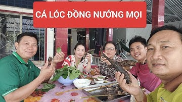 CÁ LÓC ĐỒNG NƯỚNG MỌI ĂN NGON TUYỆT VỜI/#uttuanvlog