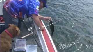 River City Bass Angler™ - Austin, Texas Fishing - Austin, TX Lakes - The Raspas