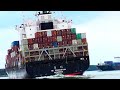 Experience the thrills and dangers of a giant yang ming container ship shipspotting