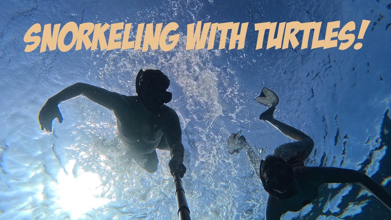CHANGE of plans, big SPIDERS and snorkeling with TURTLES on Gili Air - Indonesia Vlog 3