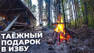 Рыбалка на сети/ Улучшения в таёжной избе /Новый стол