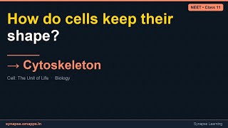 Cytoskeleton | NEET Class 11 Biology | Synapse
