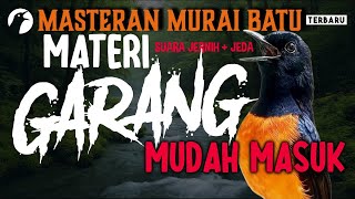 MASTERAN MURAI BATU FULL MATERI PUKULAN KASAR MEWAH - TERBARU MURAI BATU GACOR MATERI LANGKA